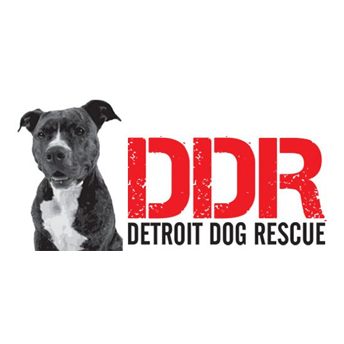 Detroit Dog Rescue