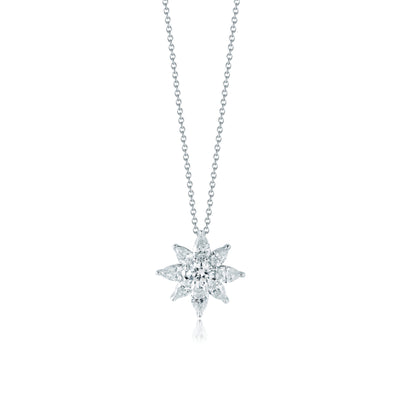 PL Platinum Diamond and Diamond  and Diamond Necklace