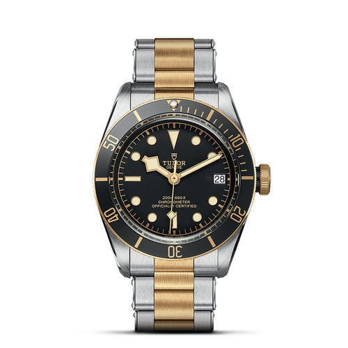TUDOR BLACK BAY Steel and Gold, Black Dial with Date Watch | 41MM | M79733N-0008