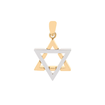 Star of David Charm Pendant in 14K Two-Tone Gold
