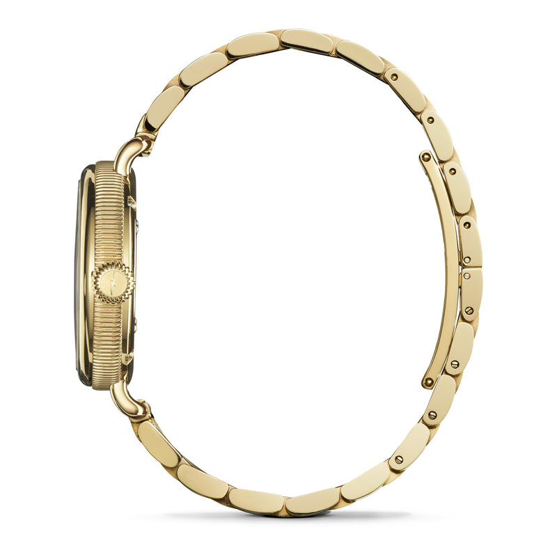 The Petoskey Birdy 34mm Dial