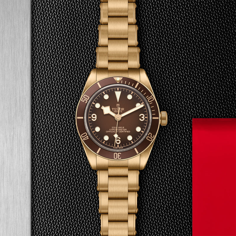 BOUTIQUE EXCLUSIVE BLACK BAY 58 BRONZE | 39MM | M79012M-0001