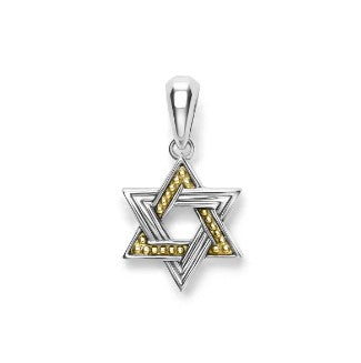 Small Two-Tone Star of David Amulet
