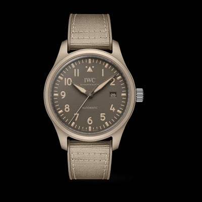 Pilot TOP GUN Mojave Desert Stainless Steel/Ceramic, Brown Dial Watch | 41MM | IW328106