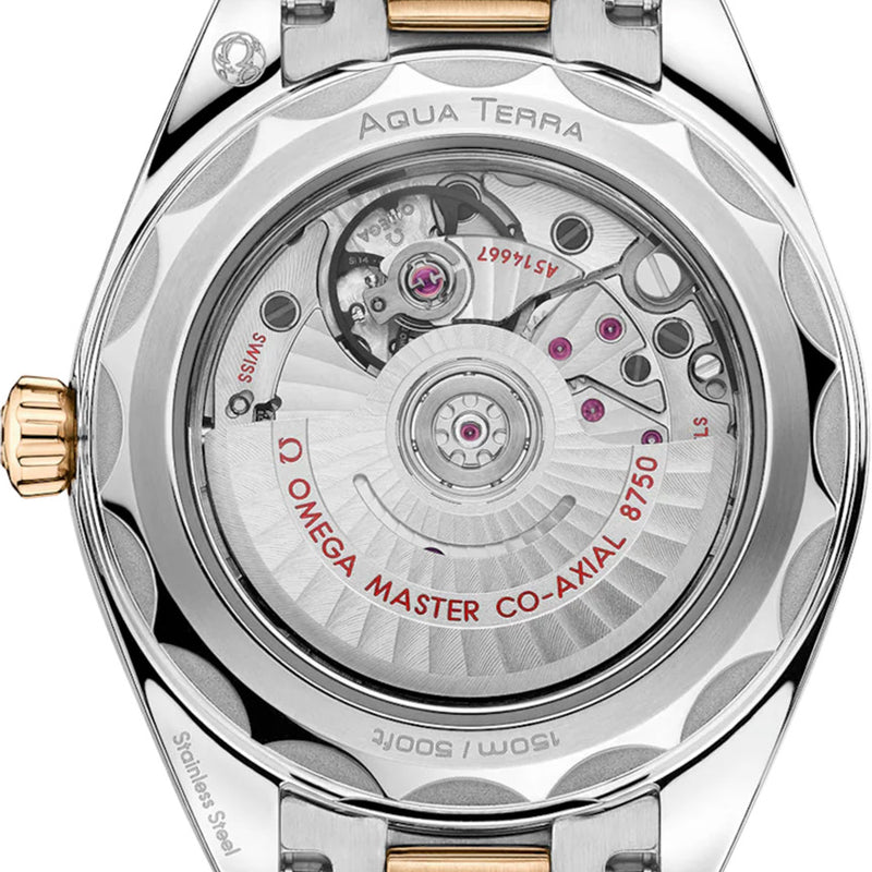Seamaster Aqua Terra 150M Steel/18K Moonshine Gold, Silver Dial Watch