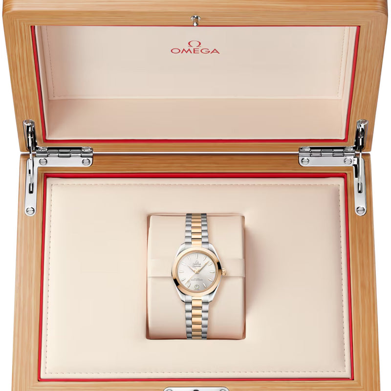 Seamaster Aqua Terra 150M Steel/18K Moonshine Gold, Silver Dial Watch