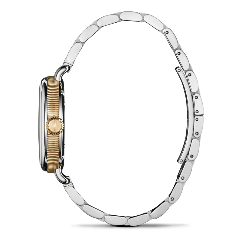 Birdy Stainless Steel/Two Tone Gold Petoskey Stone Dial Watch | 34MM |