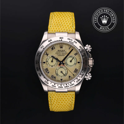 Cosmograph Daytona - M116519-0037