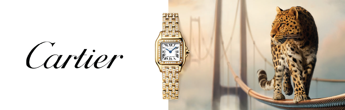 PANTHERE WATCH WEBSITE BANNER 1440x460 2c4d54a2 b15f 4321 8940 d19f43d7afea