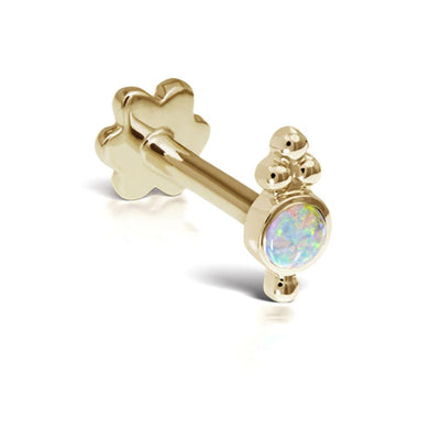 14K Yellow Gold Opal Earrings - Tapper's Jewelry 