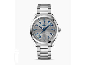 Stainless Steel AQUA TERRA Watch