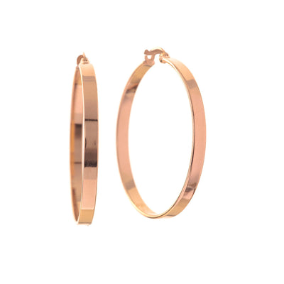 Sterling Silver/Rose Gold Plate Earrings - Tapper's Jewelry 